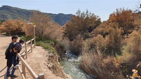 Rutas para conocer el Pantano de Elche